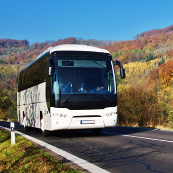 bus.jpg