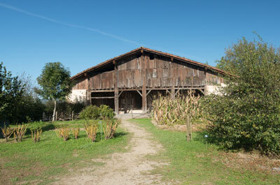 idiazabal3.jpg