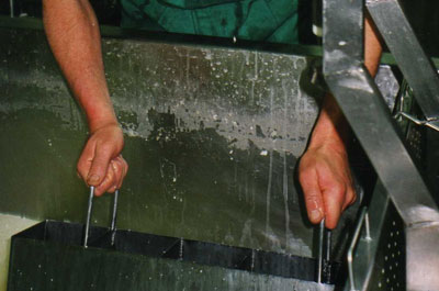 idiazabal6.jpg