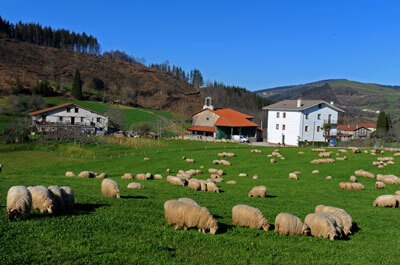 loiola8.jpg