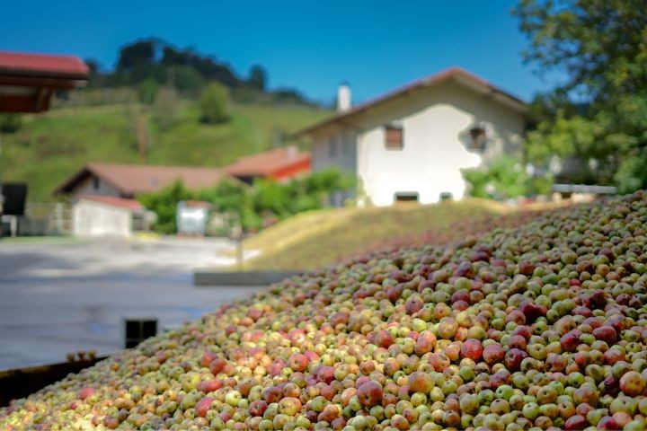 Zapiain