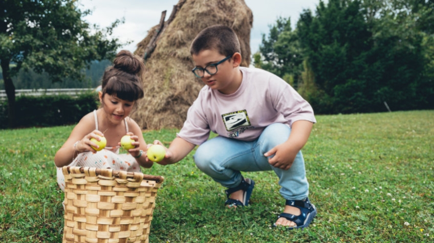 Taller de zumo de manzana