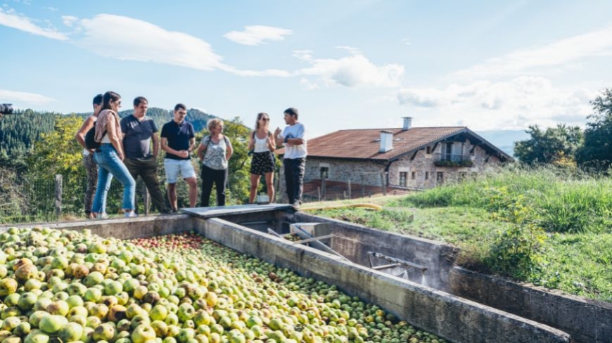 Temporada de cosecha en las bodegas de Sidra vascas