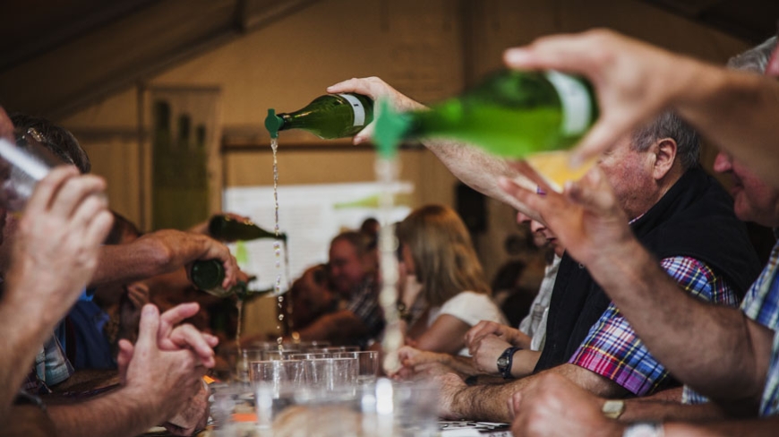 Euskal Herriko V. Sagardo Txapelketa Herrikoia