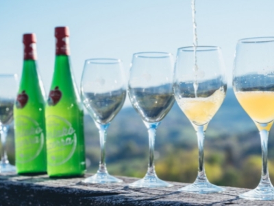 ¿Cómo se elabora la sidra vasca?