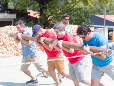 Experiencias TEAM BUILDING para grupos