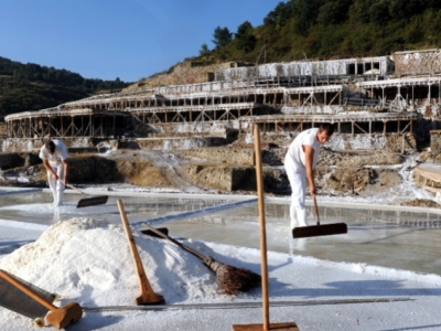 Nuevas experiencias gastronómicas para el 2024