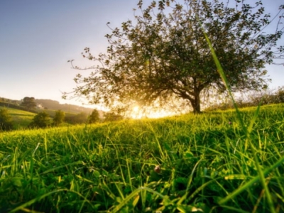 Visita guiada sobre la cultura de la sidra en Usurbil