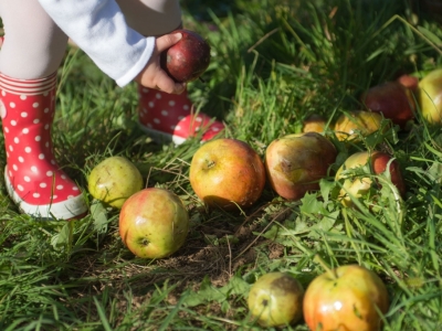 Sagastitik kupelera eta ondarearen europako jardunaldiak
