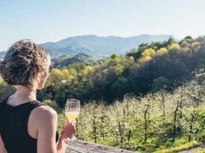 Visita guiadas en 12 Bodegas de Sidra vascas