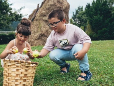 Apple Juice workshop