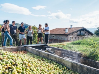 Harvest season in Basque cider cellars