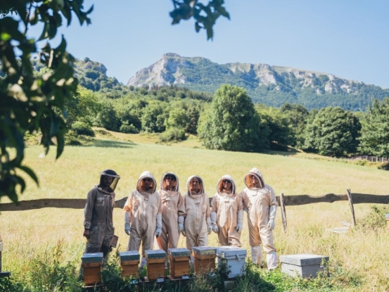 Beekeping and Cider house experience